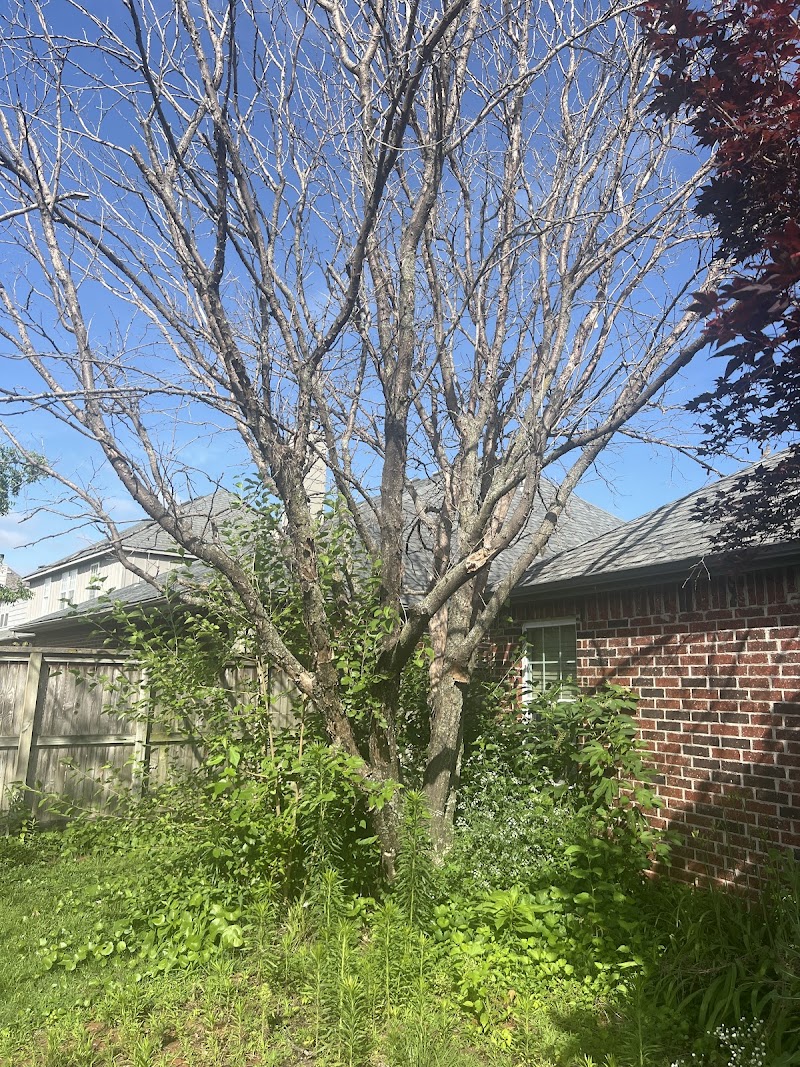 HomeRiver Group Tulsa Property Management photo 2