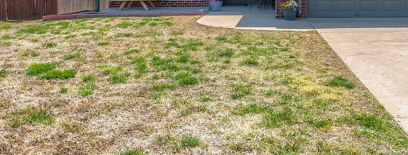 Lawn Legends photo 2