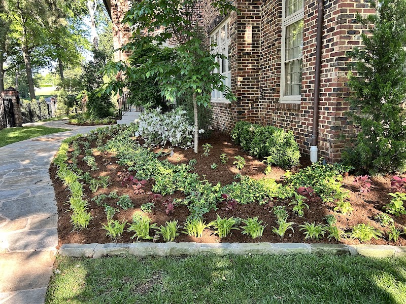 Tom's Outdoor Living photo 3